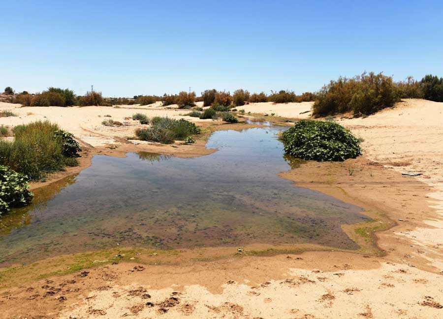 Feds Impose Deeper Water Cuts Amid Drought, Overuse